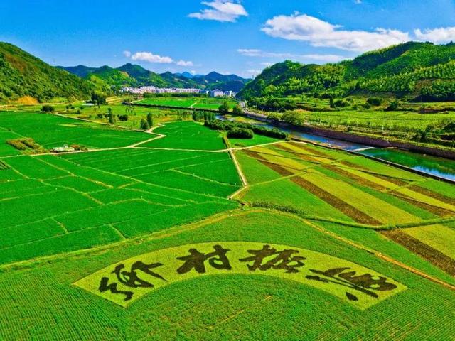 江蘇智運科技發(fā)展有限公司